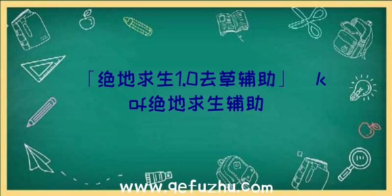 「绝地求生1.0去草辅助」|kof绝地求生辅助